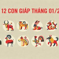 Tử vi 12 con giáp tháng 1 âm lịch năm 2026