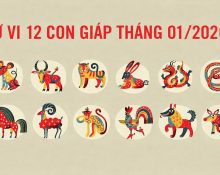 Tử vi 12 con giáp tháng 1 âm lịch năm 2026