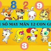 Con số may mắn theo 12 con giáp và bản mệnh ngũ hành 48 Con số may mắn theo 12 con giáp