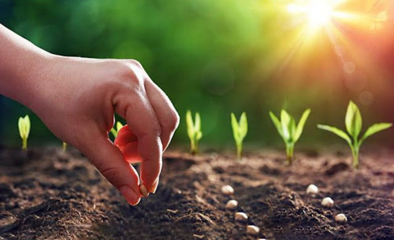 12 luật nhân quả trong cuộc đời 4 luat nhan qua