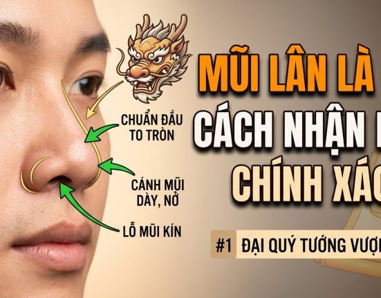 Tướng mũi lân tốt hay xấu? Đặc điểm nhận dạng và ý nghĩa
