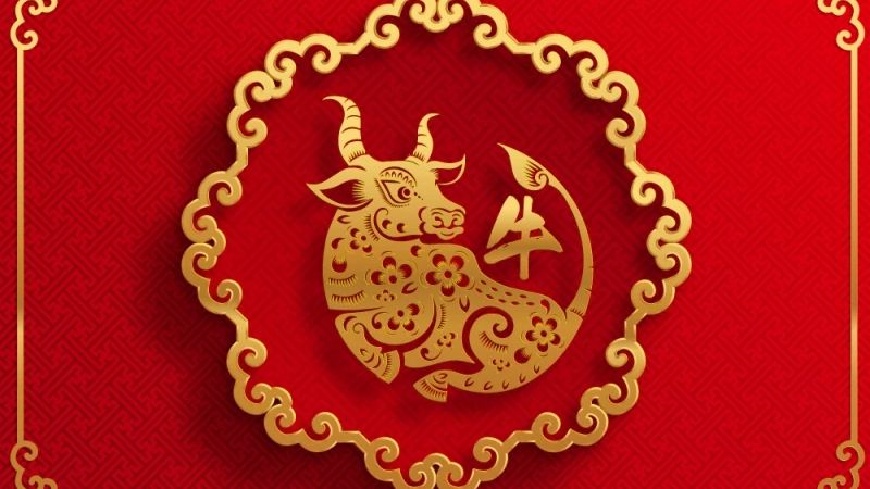 sinh nam 1985 tuoi gi menh gi 2