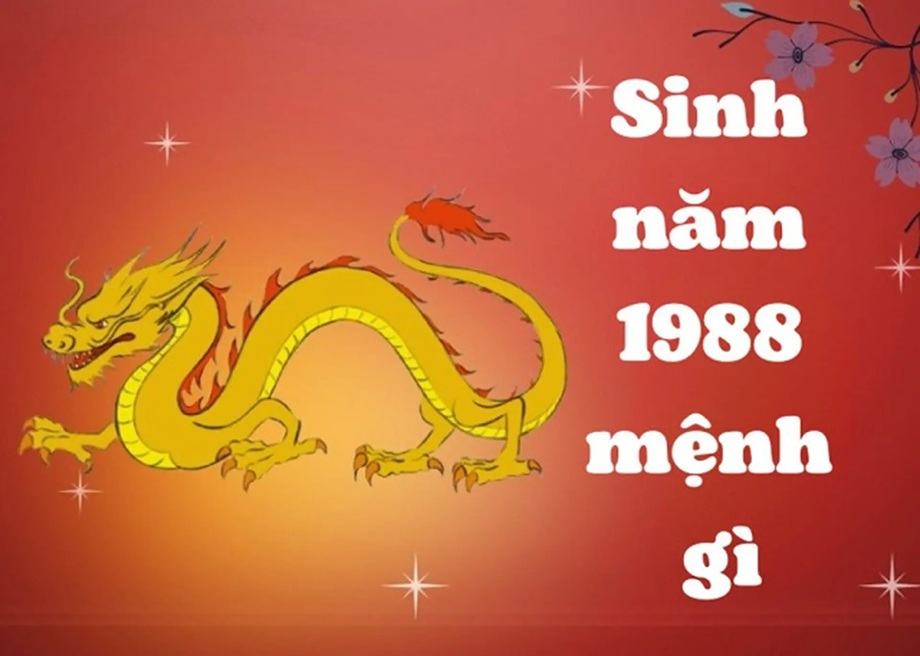 sinh nam 1988 menh gi 2
