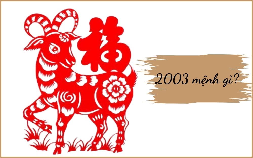 sinh nam 2003 menh gi 2