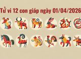 Tử vi 12 con giáp ngày 01/04/2026