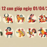 Tử vi 12 con giáp ngày 01/04/2026