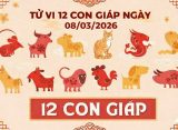 Tử vi 12 con giáp ngày 08/03/2026