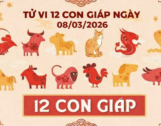 Tử vi 12 con giáp ngày 08/03/2026