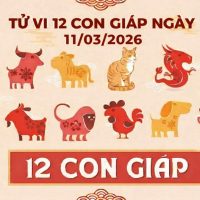 Tử vi 12 con giáp ngày 11/03/2026