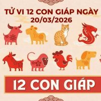 tử vi 12 con giáp ngày 20/03/2026