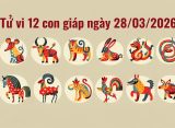Tử vi 12 con giáp ngày 28/03/2026