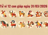 Tử vi 12 con giáp ngày 31/03/2026