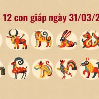 Tử vi 12 con giáp ngày 31/03/2026