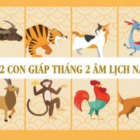 tu vi thang 2 am lich 2026 2