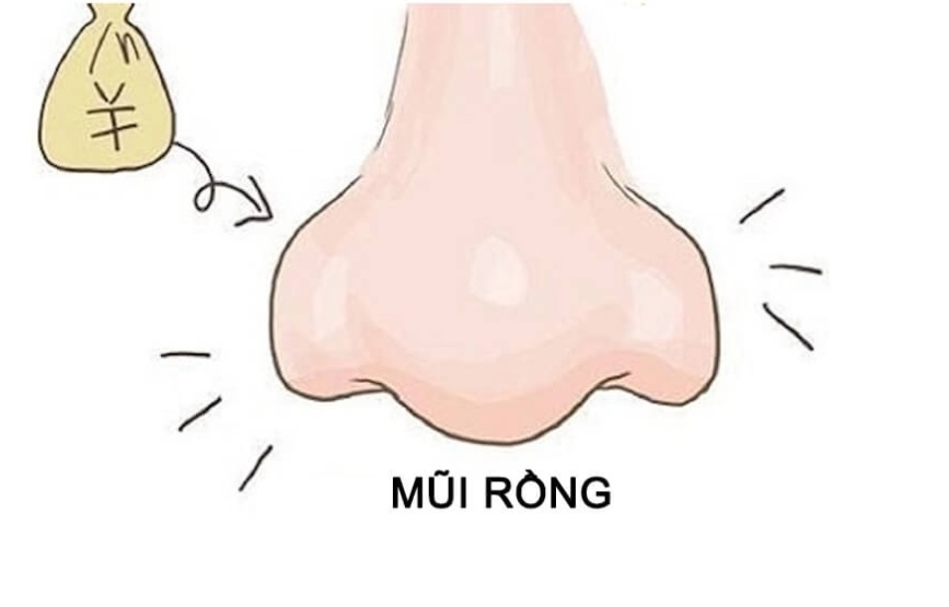 Tướng mũi rồng tốt hay xấu? Đặc điểm nhận dạng và ý nghĩa 5 tướng mũi rộng