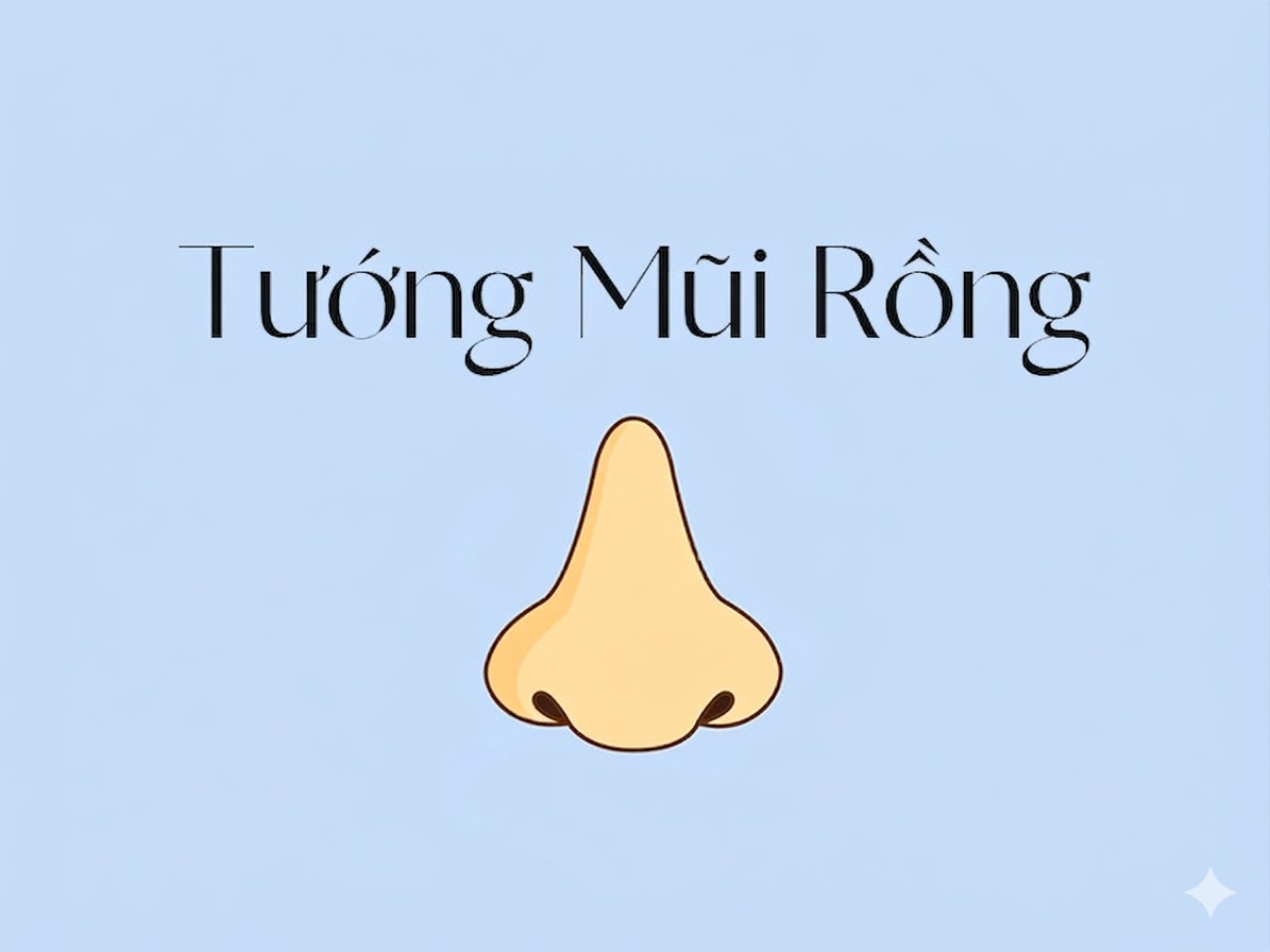 Tướng mũi rồng tốt hay xấu? Đặc điểm nhận dạng và ý nghĩa 4 tướng mũi rồng