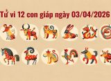 tu vi 12 con giap ngay 03 04 2026