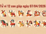 tu vi 12 con giap ngay 07 04 2026