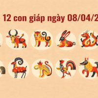Tử vi 12 con giáp ngày 08/04/2026
