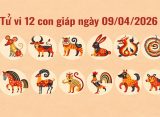 tử vi 12 con giáp ngày 09/04/2026