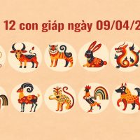 tử vi 12 con giáp ngày 09/04/2026