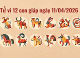 Tử vi 12 con giáp ngày 11/04/2026
