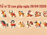 Tử vi 12 con giáp ngày 20/04/2026