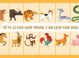 Tử vi 12 con giáp tháng 3 âm lịch năm 2026