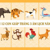 Tử vi 12 con giáp tháng 3 âm lịch năm 2026