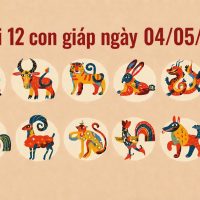tu vi 12 con giap ngay 04 05 2026