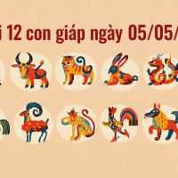 Tử vi 12 con giáp ngày 05/05/2026