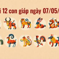 Tử vi 12 con giáp ngày 07/05/2026