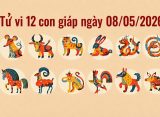 Tử vi 12 con giáp ngày 08/05/2026