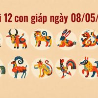 Tử vi 12 con giáp ngày 08/05/2026