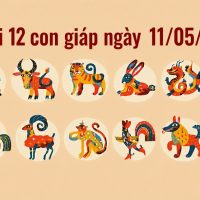 Tử vi 12 con giáp ngày 11/05/2026