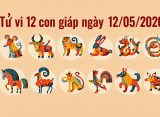 Tử vi 12 con giáp ngày 12/05/2026