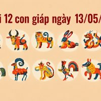 Tử vi 12 con giáp ngày 13/05/2026
